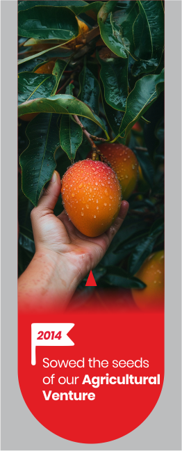 Image Not Found